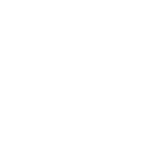 Fighting School Lyon Gerland